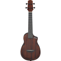 Ibanez AU Series AUC14 Acousti Picture