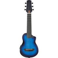 Ibanez AU Series AUP10FMNE Aco Picture