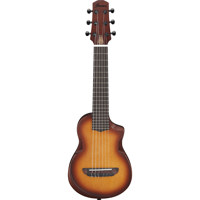 Ibanez AU Series AUP10N Acoust Picture