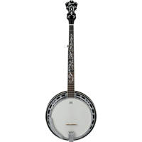 Ibanez B300 5-String Banjo, 22 Picture