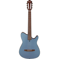 Ibanez FRH Series FRH10N Acous Picture