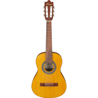 Ibanez Classical Series GA1 1/ Picture