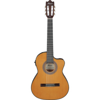 Ibanez Classical Series GA5TCE Picture