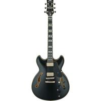 Ibanez John Scofield Signature Picture