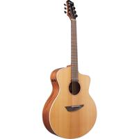 Ibanez PA230E Acoustic Electric Guitar, Macassar Ebony Fretboard, Natural Satin