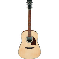 Ibanez PF Series PF50 Acoustic Picture