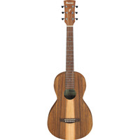 Ibanez PF Series PN2WS Acousti Picture