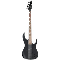 Ibanez RGA Standard RGB300 Ele Picture
