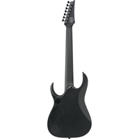 Ibanez RGD Iron Label Series R Picture