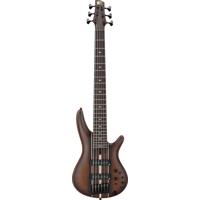 Ibanez SR Premium Series SR135 Picture
