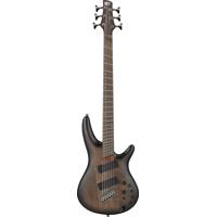 Ibanez SR Workshop Series SRC6 Picture
