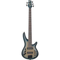 Ibanez SR Workshop Series SRD9 Picture