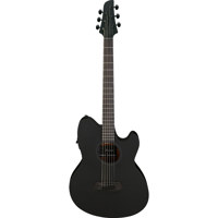 Ibanez Talman Series TCY621 Ac Picture