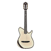 Ibanez Tim Henson Signature Se Picture