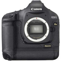 Canon EOS 1Ds Mark III 21.1 Me Picture