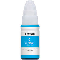 Canon GI-290 Cyan Pigment Ink  Picture