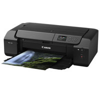 Canon PIXMA Pro 200 Profession Picture