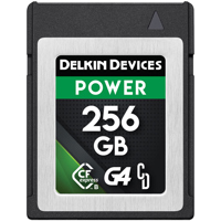 Delkin Devices 256GB POWER CFe Picture