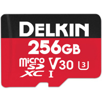 Delkin Devices Select 256GB UH Picture