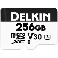Delkin Devices Advantage 256GB Picture