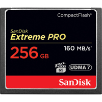 SanDisk 256GB Extreme PRO Comp Picture