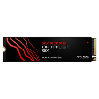SanDisk Optimus GX 7100 NVMe P Picture