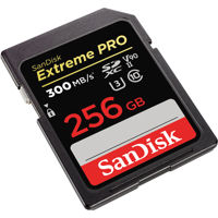 SanDisk 256GB Extreme PRO UHS- Picture