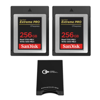 SanDisk Extreme PRO 256GB CFex Picture