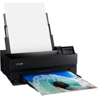 Epson SureColor P900 17" Wide  Picture