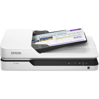 Epson DS-1630 Flatbed Color Do Picture