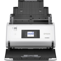 Epson DS-30000 Large-Format Du Picture