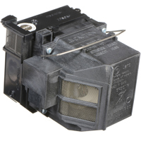 Epson ELPLP80 Replacement Proj Picture