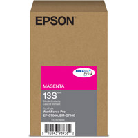 Epson DURABrite Pro T13S Stand Picture