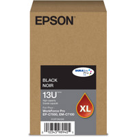 Epson DURABrite Pro T13U High- Picture