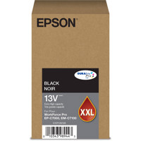 Epson DURABrite Pro T13V Extra Picture