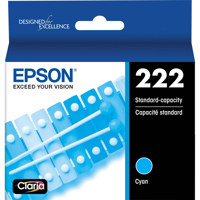 Epson Claria T222 Standard Cap Picture