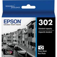 Epson 302 Photo Black Inkjet C Picture