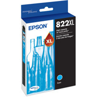 Epson T822XL High-Capacity Cya Picture