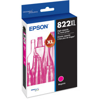 Epson T822XL High-Capacity Mag Picture