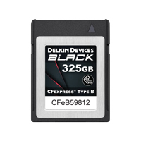 Delkin Devices 325GB BLACK CFe Picture