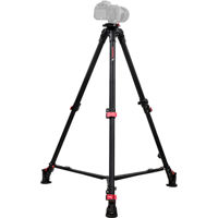 iFootage Wild Bull T5 Professi Picture