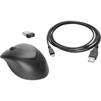 HP Wireless Premium Mouse Picture