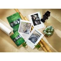 Hahnemuhle Agave Natural Line Picture