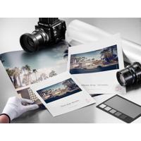 Hahnemuhle Photo Rag Metallic  Picture