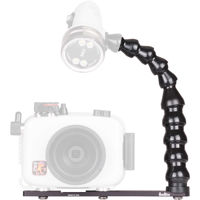 Ikelite Light Arm for Action T Picture