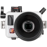 Ikelite Underwater Housing for Picture