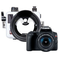 Ikelite 200DLM/C Underwater Ho Picture