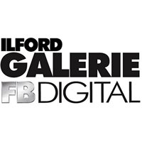 Ilford Galerie Digital Silver  Picture