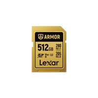Lexar Professional ARMOR GOLD  Picture