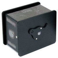 Ilford Obscura 4x5" Film Pinho Picture
